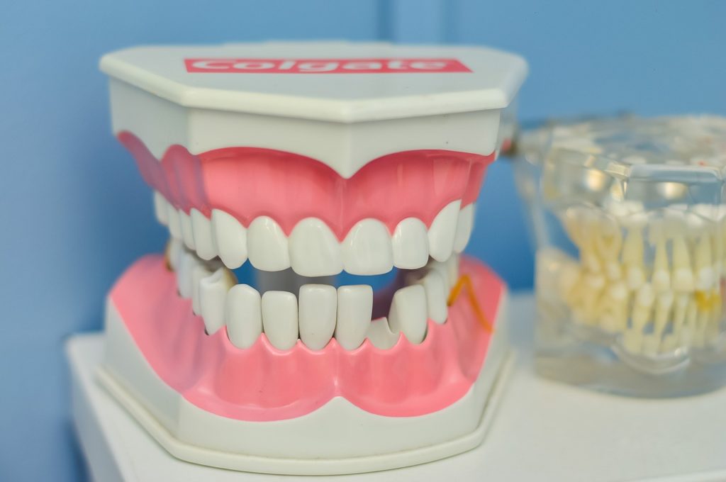 mouth, teeth, macromodel-1437426.jpg