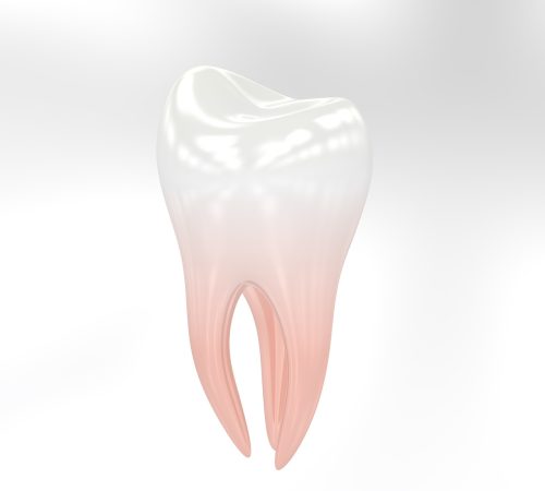 teeth, tooth, dentist-3433751.jpg